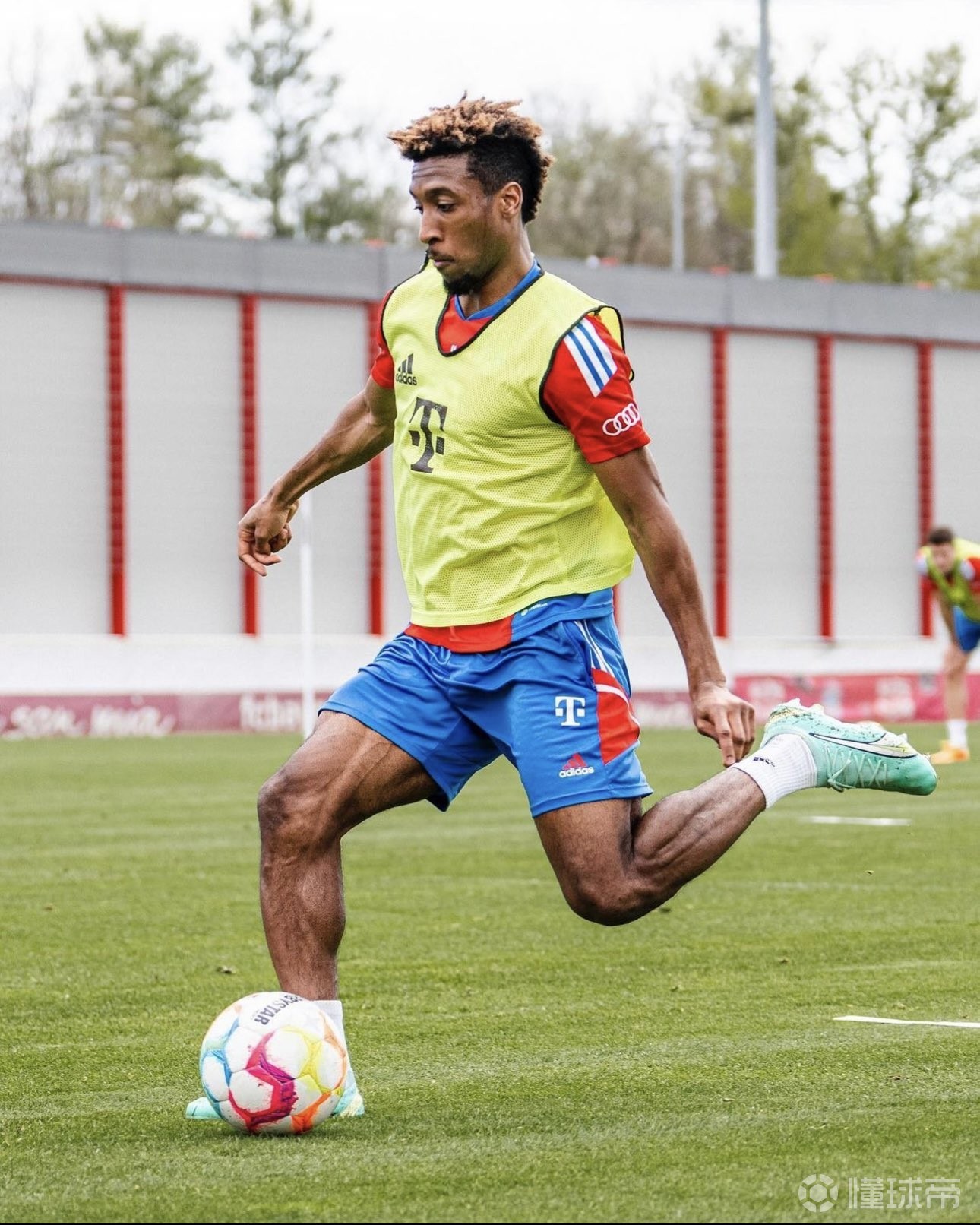 塔图姆新星比赛规则变更表现突出，拜仁前途光明！比赛高潮迭起(塔图姆最新单场数据)