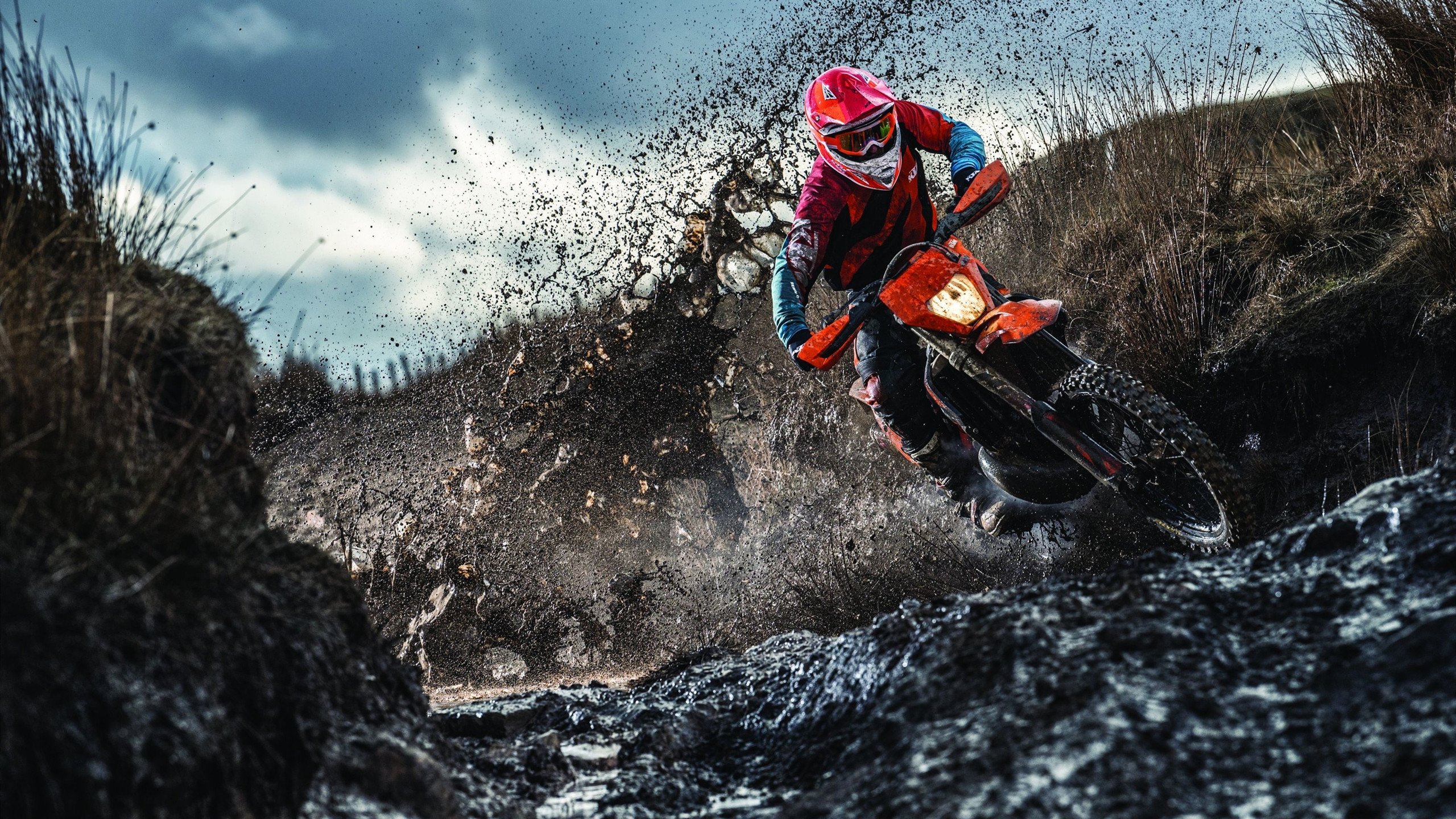 郭艾伦最新消息